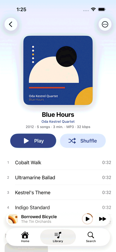 An album on iPhone: Blue Hours, with Play and Shuffle buttons above its track list